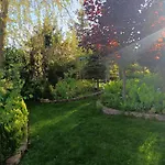 Mietowy * Jagodne