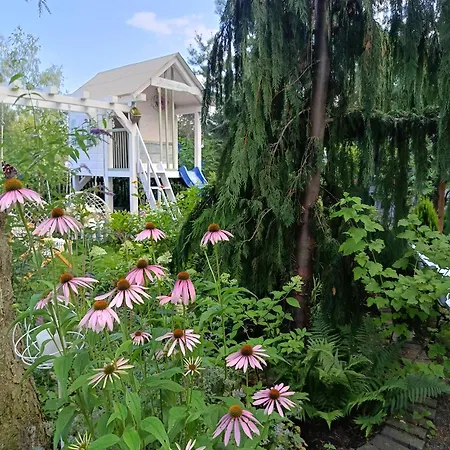 Holiday home Mietowy Jagodne